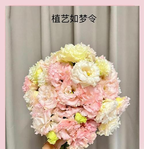 粉色洋桔梗的花语有何含义？