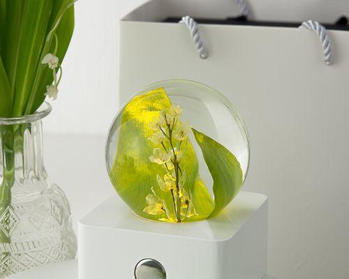 铃兰花是否象征永生花？