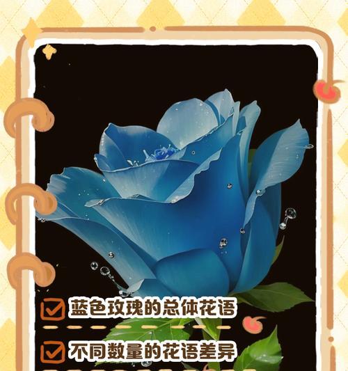 夜空闪闪亮的花语代表什么？