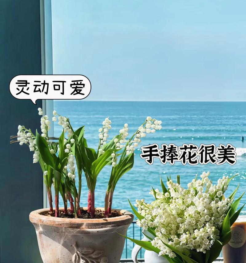 六一儿童节送闺蜜花语是什么意思？它传递了哪些情感？