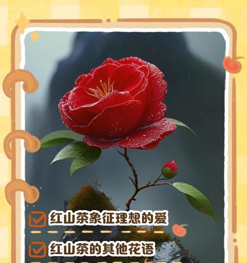 表面张扬内心纯粹的花语是什么意思？这种花语有何深层含义？