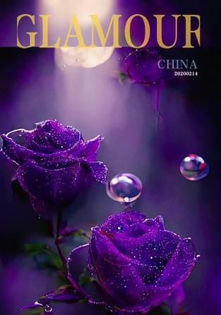 星空紫玫瑰花语有何寓意？代表什么？