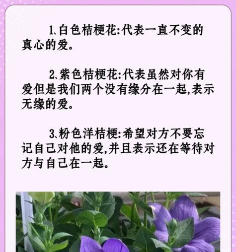 名字相关的花语有哪些？它们代表了什么含义？