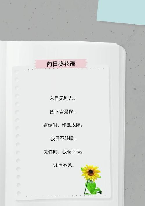 最新的花语有哪些？