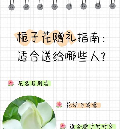 最新的花语有哪些？