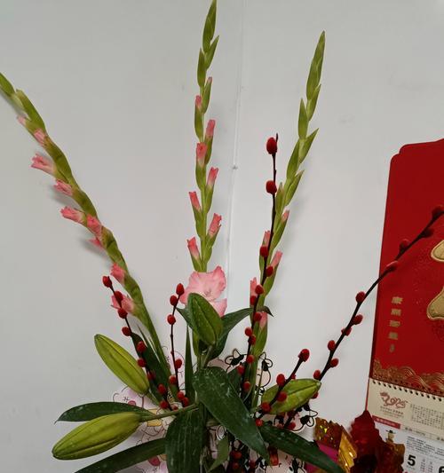 道具美好生活美好的花语是什么意思？道具美好生活美好的象征是什么？