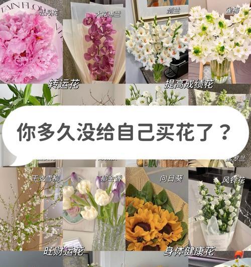 五十八束花的花语是什么？五十八束花代表什么意义？
