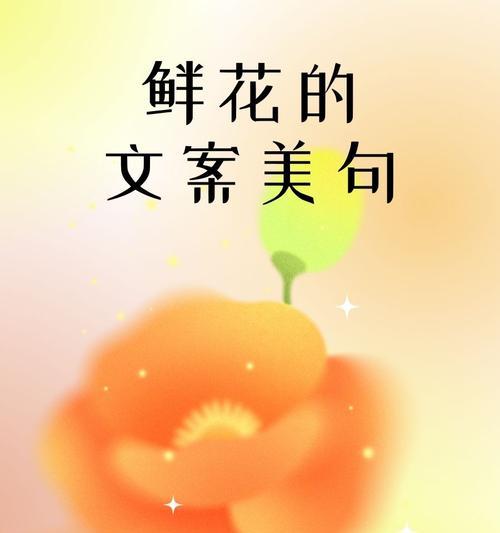 一盏梅的花语有何独特之处？