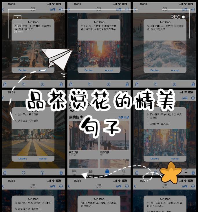 一盏梅的花语有何独特之处？
