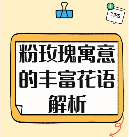21朵玫瑰花的花语是什么？它传达了怎样的情感？