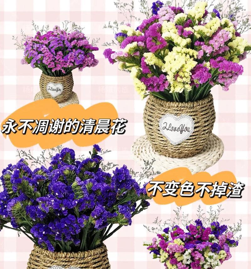 干花的种类有哪些？它们各自的花语是什么？