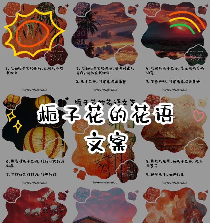 枙子花的花语有哪些？它在传统中代表什么？