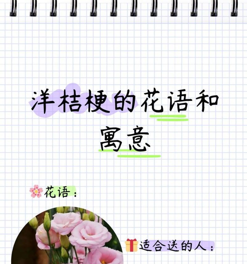 蓝星花与洋桔梗的花语有何不同？