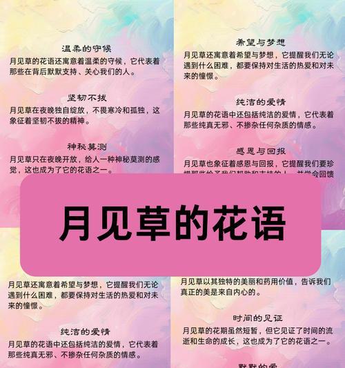 花语孤独高傲什么意思？孤独高傲的花语有哪些？