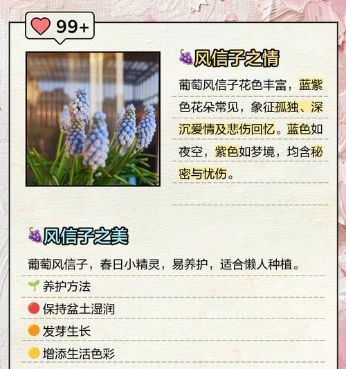 花语孤独高傲什么意思？孤独高傲的花语有哪些？
