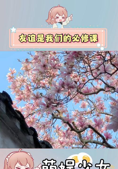 玉兰花代表友谊的花语是什么？