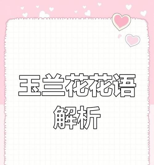 玉兰花代表友谊的花语是什么？