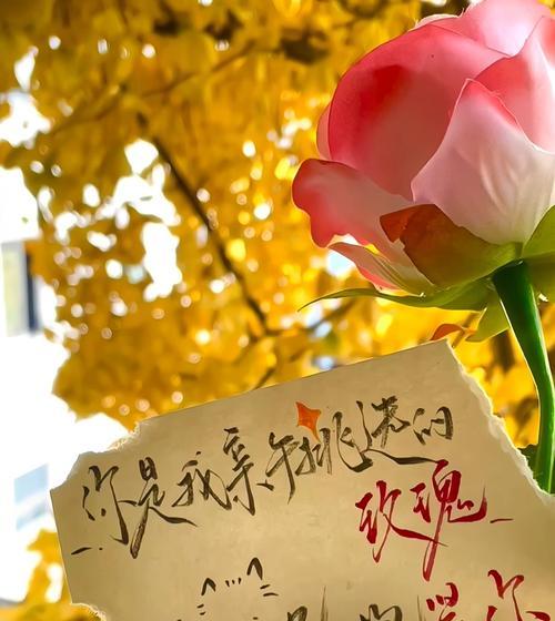 玫瑰花贴在手上的花语含义是什么？