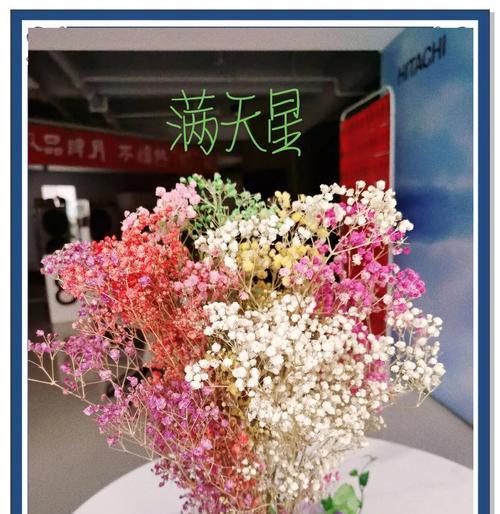 满天星代表的花语有哪些？