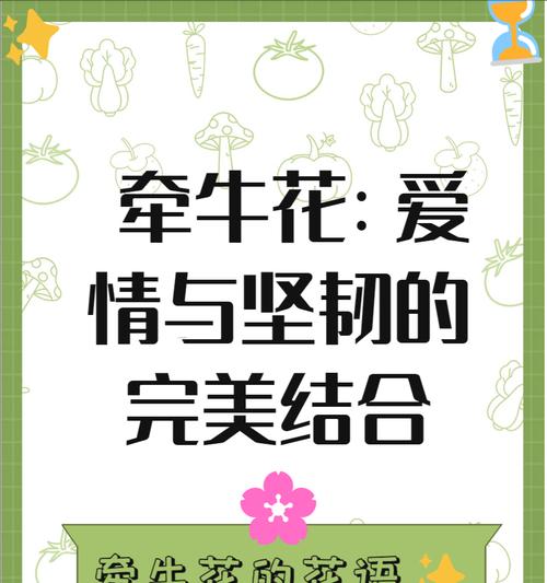 什么花的花语浪漫的故事？哪种花最能代表浪漫的爱情？