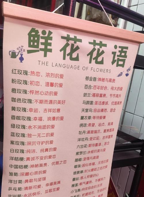 送花给老首长应该表达什么花语？