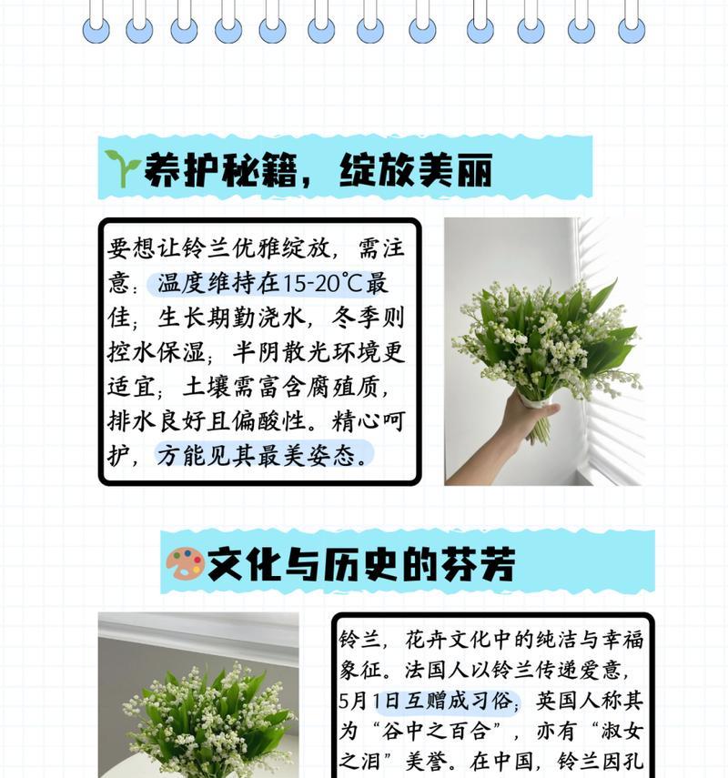 送男生好的花语是什么呢？哪种花语适合送给男性？