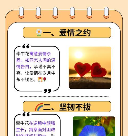 难以言述的爱用什么花表达？花语中难以言述的爱代表什么？