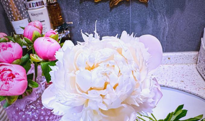 友情的花语通常是什么？它在花语中如何表达？
