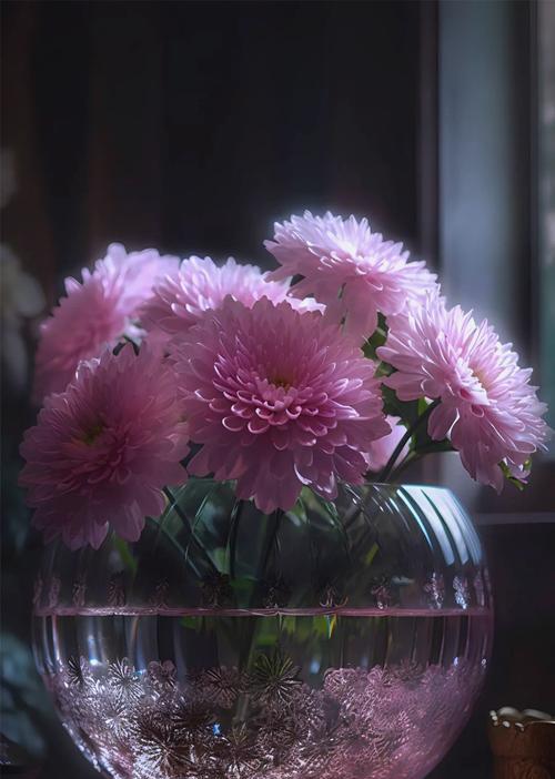 菊花与玫瑰花语的区别是什么？两者花语有何不同？