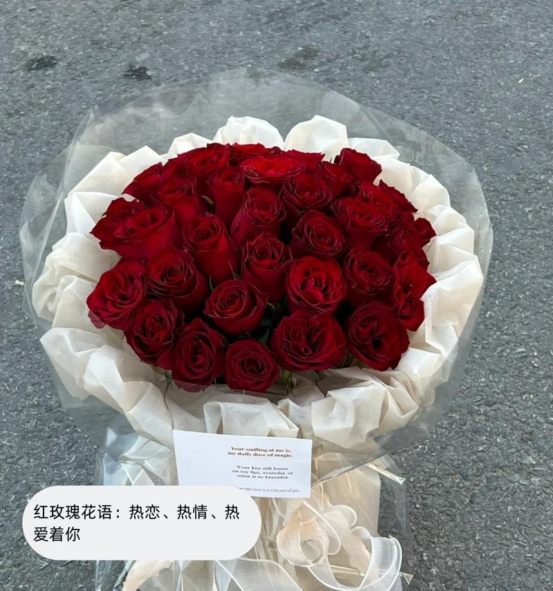 菊花与玫瑰花语的区别是什么？两者花语有何不同？