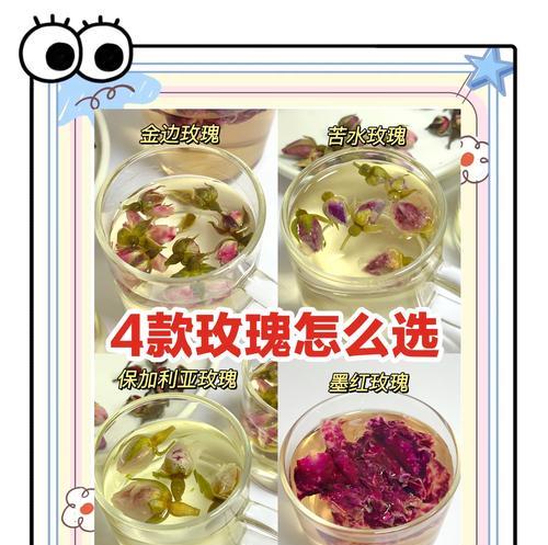 玫瑰花有哪些品种和象征意义？如何选择合适的玫瑰？