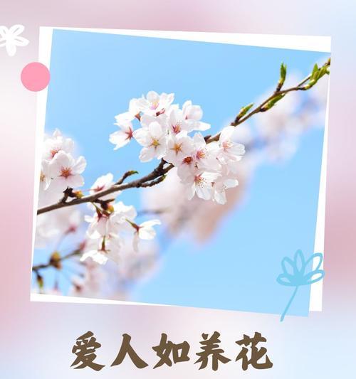 爱人送的花语通常代表什么？