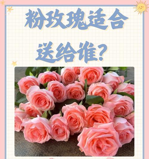 爱人送的花语通常代表什么？