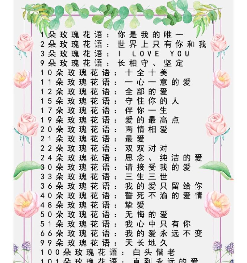 不同颜色玫瑰花各自代表什么？