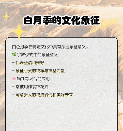 月季花语及其寓意有哪些？