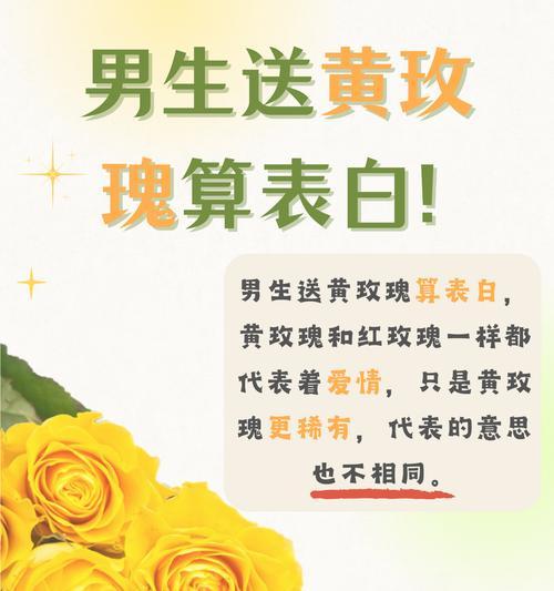 我心爱的男孩用花语如何表达？