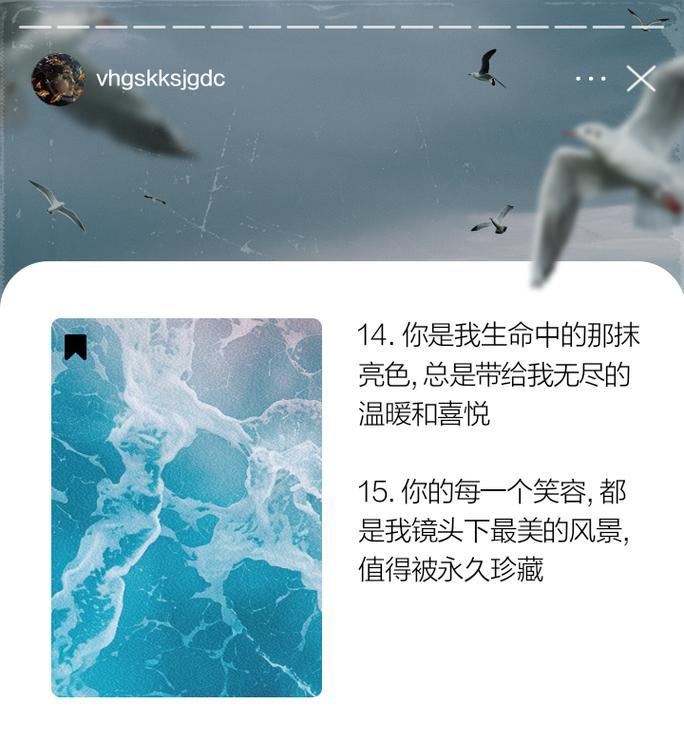 我心爱的男孩用花语如何表达？