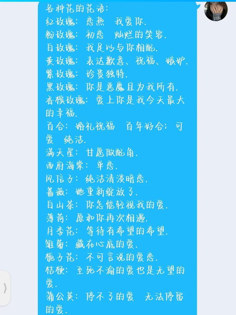 只给你的爱花语是什么？这句话背后的含义是什么？