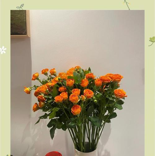 云舍花卉的花语是什么？云舍花卉代表了什么情感？