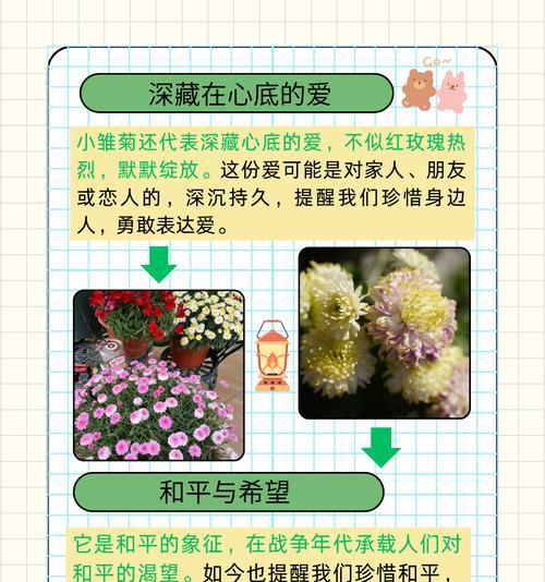 道具回忆的花语是什么？这种花语有何特别之处？