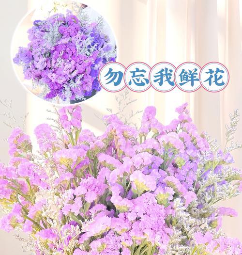 道具回忆的花语是什么？这种花语有何特别之处？