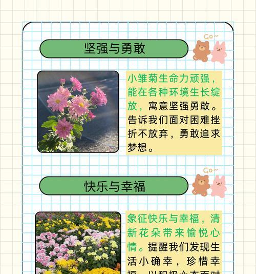 道具回忆的花语是什么？这种花语有何特别之处？