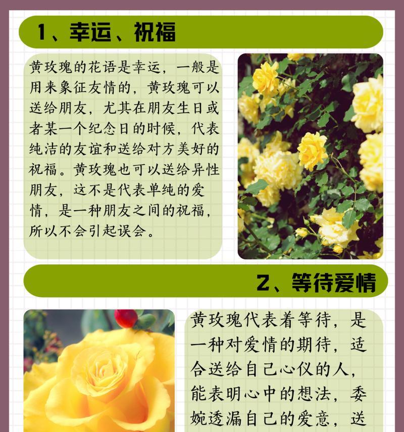 送太太玫瑰花的寓意是什么？为什么要选择玫瑰花作为礼物？