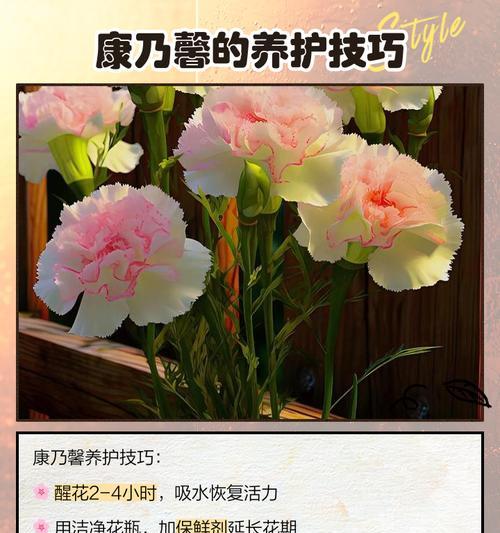 康乃馨不同数量代表什么含义？