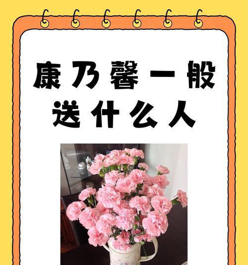 康乃馨不同数量代表什么含义？