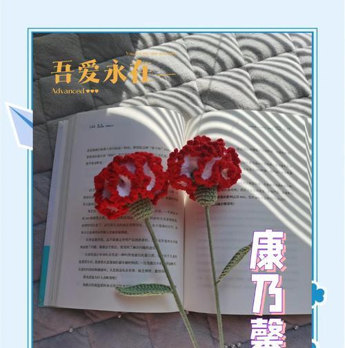 康乃馨不同数量代表什么含义？