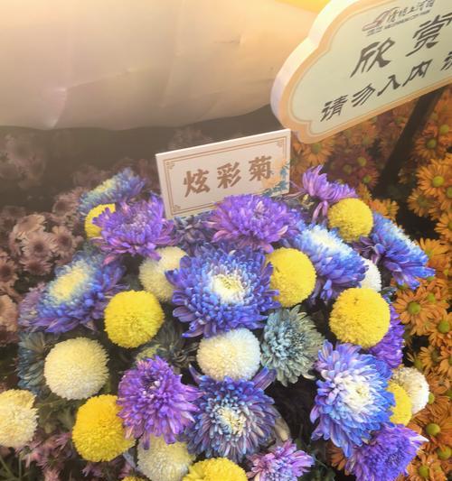 清明节送花的花语有何含义？