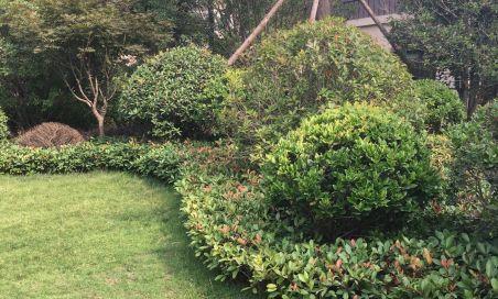 新郑梧桐花语房子什么价位？梧桐花语与房价有何关联？