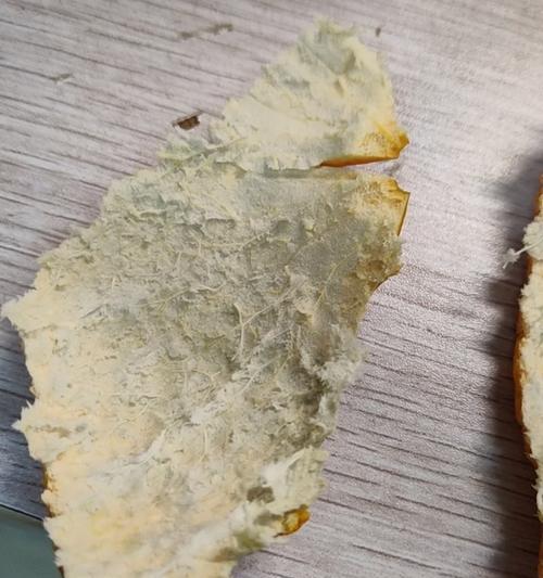 凋落与毁灭在花语中有何不同？