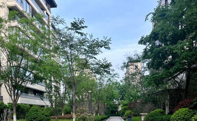 吉地澜花语价格低廉的原因是什么？
